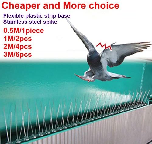 Lvhenongye 5M Steel Swallow Sparrow Bird Bird Spikes Anti Stainless Gone with Strips of Flexible Plastic Base