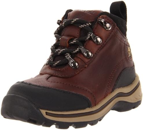 Amazon.com | Timberland Back Road Hiker 