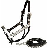 Showman Dark Brown Leather Full Size Horse Engraved Silver Show Halter w/Lead