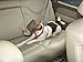 ThunderCap Calming Cap for Dogs (Medium)