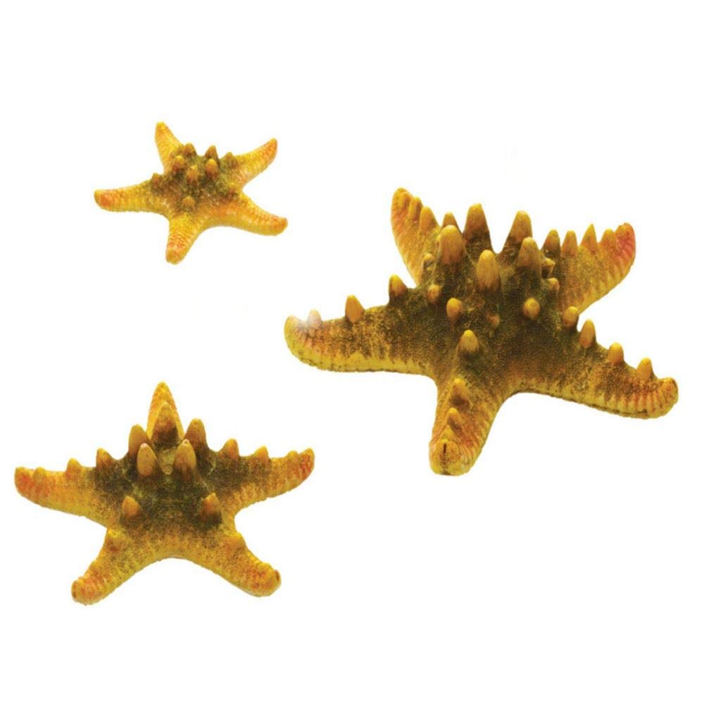 biOrb Ornament Natural Sea Star Set, Yellow