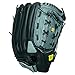 WILSON A360 Baseball Glove, Grey/Black/White, Right Hand Throw, 12-Inch