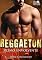Livro Reggaeton: Ritmo Envolvente