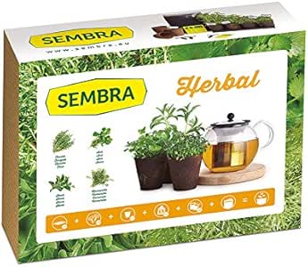Sembra Big Kit Cultivo, 25.5x33.5x9 cm: Amazon.es: Jardín