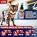 Wowpaw Dewormer for Dogs & Cats (2 OZ) - Made in USA - Worm Treatment for Pets - Natural Powerful Blend Against Whipworm, Hookworm, Roundworm & Tapeworm - Senior Pets, Kitten & Puppy Dewormer