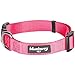 Blueberry Pet Essentials Medium Dog Collar | Neck 14.5