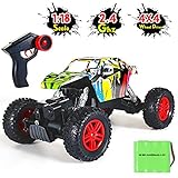 GoStock Remote Control Car, 1:18 Scale RC Car Off-Road All Terrain High Speed 2.4Ghz Radio Electric 4WD Hobby Grade Monster Truck Unique Graffiti Rock Crawler for Boys Girls Gift