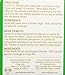 HYLEYS Tea Garcinia Cambogia Green Tea Original Flavor - 25 Tea Bags (12 Pack - 300 Tea Bags Total)