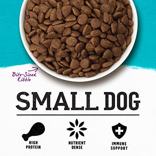Purina Beyond Natural, High Protein Small Breed Dry Dog Food, Simply