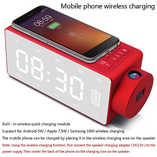 SHZONS Digital Alarm Clock,LED Projection Alarm Clock with Bluetooth Speaker,Dual Alarm,FM Radio,USB Charging Ports,Snooze