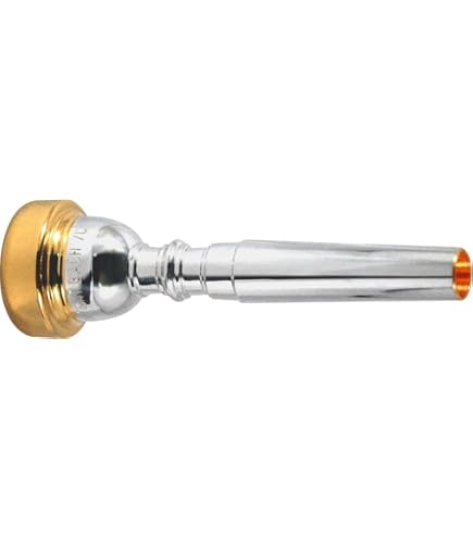 Amazon.com: Bach Gold Rim Trumpet Mouthpiece - 1HC : Everything Else