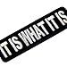 EmbTao Glow in Dark It is What It is Funny Biker Embroidered Iron On Sew On Patch