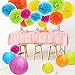 ZJHAI Set of 20 Assorted Rainbow Color Paper Pom Poms and Paper Lanterns, 5 Colors, for Party, Baby Shower and Wedding Decorations