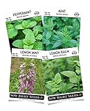 Sow Right Seeds - Mint Garden Seed Collection - Peppermint, Common Mint, Lemon Mint, and Lemon Balm; Non-GMO Heirloom Seeds with Instructions for Starting Indoors or Outdoors;