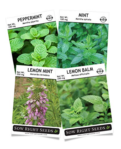 Sow Right Seeds - Mint Garden Seed Collection - Peppermint, Common Mint, Lemon Mint, and Lemon Balm; Non-GMO Heirloom Seeds with Instructions for Starting Indoors or Outdoors;