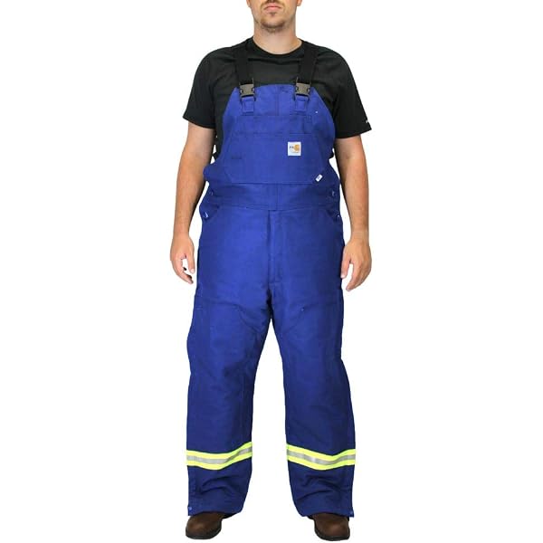 Amazon.com: Carhartt Men's 101703 Flame-Resistant Striped Duck Bib