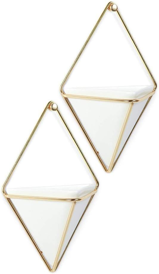Geometric Metal Holder Hanging Ceramic Flower Pot Indoor Desktop Garden Planter for Succulents Cactus