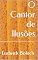 Livro O Cantor de Ilusões