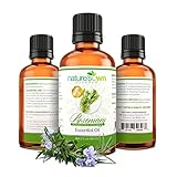 Real Rosemary Essential Oil :: Pure Undiluted (2oz)