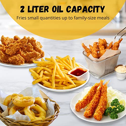 Flexzion Electric Deep Fryer Easy to Clean with Basket and Lid, Small
