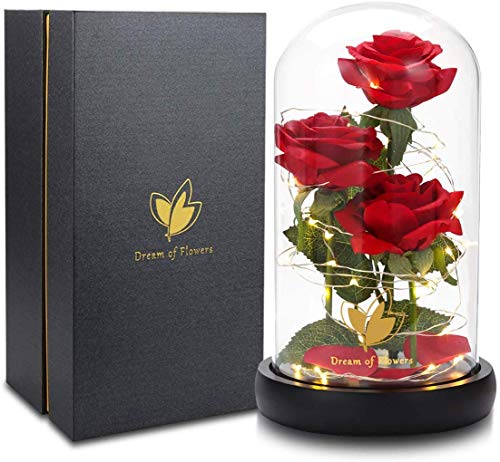 Beauty and The Beast Rose flowers, 40 LED Lights in Glass Dome on Wood Base, Warm Light mode, a Fallen leaves, Multi Use for Home/Office or Home Decorations, Mother's Day Gifts for Women - Thumbnail 2