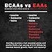 Primeval Labs EAA Max, BCAA Perfect Amino Acid Powder - Pre or Post Workout Muscle Recovery - BCAAs, EAAs, Electrolytes, Supports Hydration & Performance, Keto Friendly (Orange Sherbet)