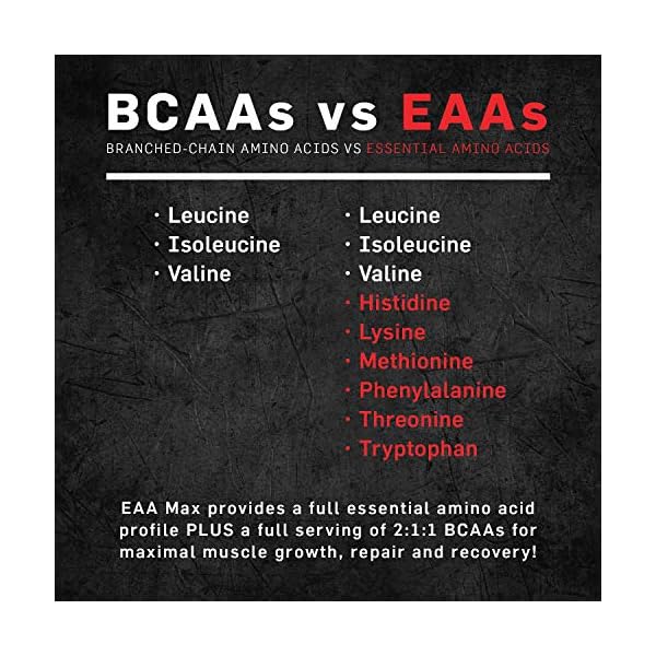 Primeval Labs EAA Max - 30 Servings - Full Essential Amino Acid Profile Drink (Strawberry Mango)