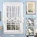 Collections Etc Songbird Shabby Chic Lace Balloon Shade Curtain with Rod Pocket Top, 56