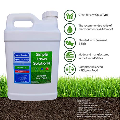 Advanced 16-4-8 Balanced NPK- Lawn Food Natural Liquid Fertilizer- Spring & Summer Concentrated Spray - Any Grass Type- Simple Lawn Solutions (2.5 Gallons)