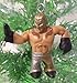 WWE Wrestling Set of 10 Wrestler Holiday Christmas Tree Ornaments Featuring RANDOM 2