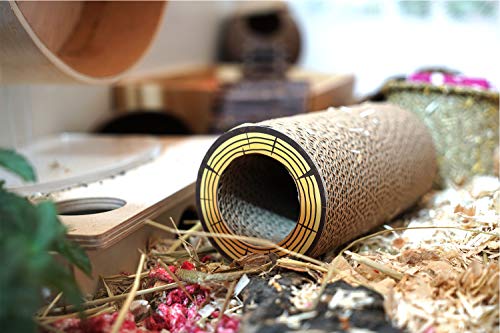 andwe Pocket Pets Cardboard Play Tubes Activity Tunnel for Hamster Mice Gerbils and Small-Sized Animals - Thumbnail 3