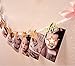 E&L Newborn to 12 Months Photo Banner, One to Twelve Month Photo Banner, First Birthday Banner, Party Supplies, First Birthday Decorations