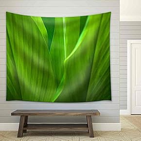 Green Leaf Background Abstract of Nature - Fabric Wall Tapestry Home Decor - 51x60 inches