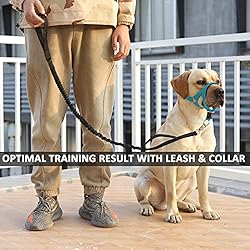 BARKLESS No-Pull Head Collar for Dogs Training