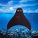 GOALUKK Mermaid Tails with Monofin for Swimming,Training Diving Fins Swim Fins for Kids and Adults(Black) (S-Child size)