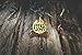 Asilda Store Lapel Enamel Pin [with Deluxe Pin Lock] (Escape)
