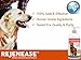 Premium Liquid Glucosamine Hip and Joint Supplement for Dogs - Fast Natural Arthritis Pain Relief and Better Mobility - Extra Strength with Chondroitin MSM and Hyaluronic Acid. Made in USA 16oz.