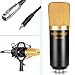 Neewer Professional Studio Broadcasting / Recording NW-700 Condenser Microphone & NW-107 Folding Type Height Adjustable Microphone Tripod Boom Floor Stand Kit