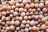 50 Pcs Raw Baltic Amber Beads with Hole