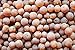 50 Pcs Raw Baltic Amber Beads with Hole