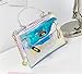 Holographic Transparent Retro Bag Women's Clear Chain Cross Body Bag Shoulder Bag