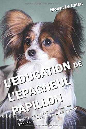 Amazon Fr L Education De L Epagneul Papillon Toutes Les Astuces Pour Un Epagneul Papillon Bien Eduque Le Chien Mouss Livres Amazon Fr L Education De L Epagneul Papillon Toutes Les Astuces Pour Un Epagneul Papillon Bien Eduque Le Chien Mouss Livres