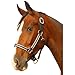 Halter Padded Leather Crown Silverado Horse Black/Silver, Black - Silver, Full
