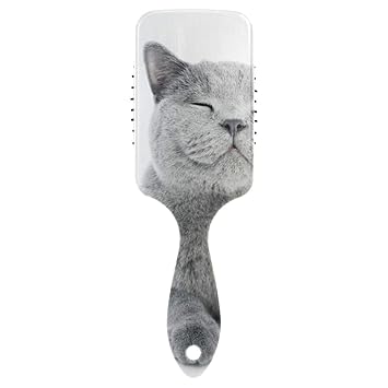 Amazon Com Air Cushion Combs British Shorthair Cat Hair Brushes