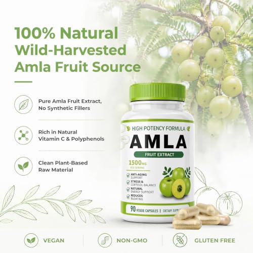 Organic Amla Capsules – Indian Gooseberry Fruit Powder for Daily Vitality, Ayurvedic Wellness Formula, 90 Capsules