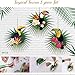 Tropical Luau Tiki Hawaiian Toucan Bird Paper Fans with Palm Leaves Paper Fans Hanging for Summer Jungle Beach Cuban Caribbean Pool Theme Birthday Wedding Bachelorette Party Decorations Supplies