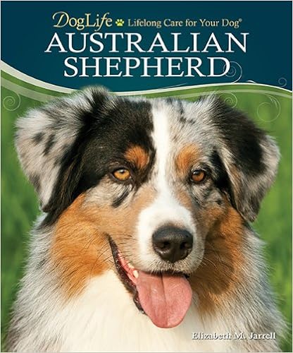 Australian Shepherd (Doglife Series) �����O���{  - 2012/2/28