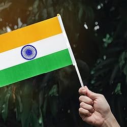 India Flag Indian Hand Held Mini Small Stick Flags