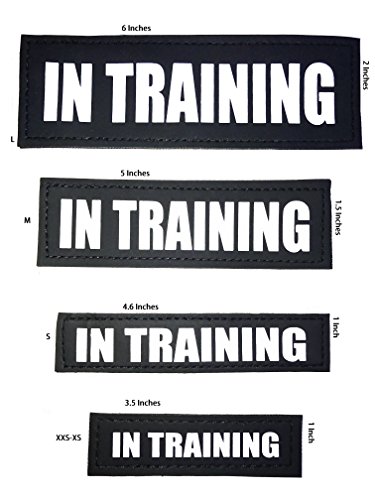 Albcorp Reflective In Training Patches with Hook Backing for Service Animal Vests /Harnesses Large (6 X 2) Inch