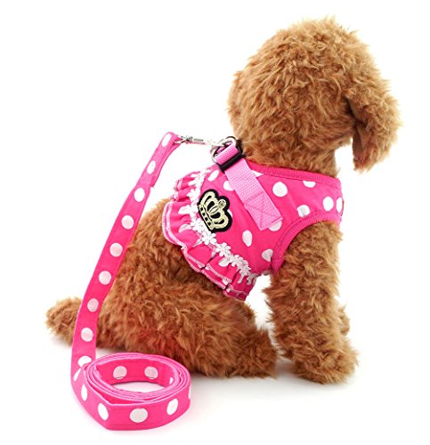 SMALLLEE_LUCKY_STORE Small Dog Cat Sweet Dots Pattern Vest Harness Leash Set Mesh Padded Lead Pink M
